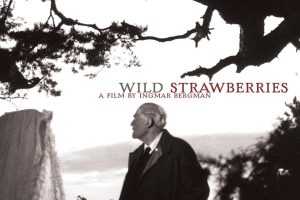 瑞典《野草莓/Wild Strawberries》1080P高清蓝光种子网盘下载