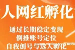 马大个《素人网红孵化课》视频MP4百度云网盘下载