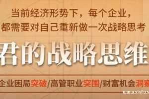 《和君战略思维课》培训课程讲座视频MP4百度云网盘下载