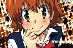 天野明漫画《家庭教师/HITMAN REBORN》全33卷合集[JPG/1.89GB]百度云网盘下载