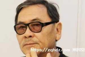 台湾王童/Toon Wang 导演作品13部电影合集[MKV/49.98GB]百度云网盘下载