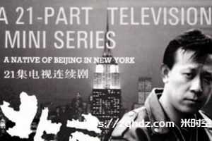 电视剧《北京人在纽约(1993)》姜文 全集高清-百度云网盘下载