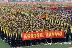 学习中学学习高考资料《学霸笔记衡水》视频文档合集[MP4/21.18GB]百度云网盘下载