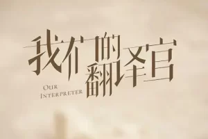 电视剧《我们的翻译官》：揭秘娓娓动人的翻译故事