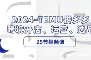 《最新TEMU拼多多 跨境开店、运营、选品》教程[MP4/3GB]夸克云网盘下载