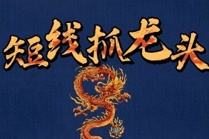 《28位游资大佬交易心法+交割单+龙湖榜解码》[MP4/PDF/2.39GB]合集网盘下载