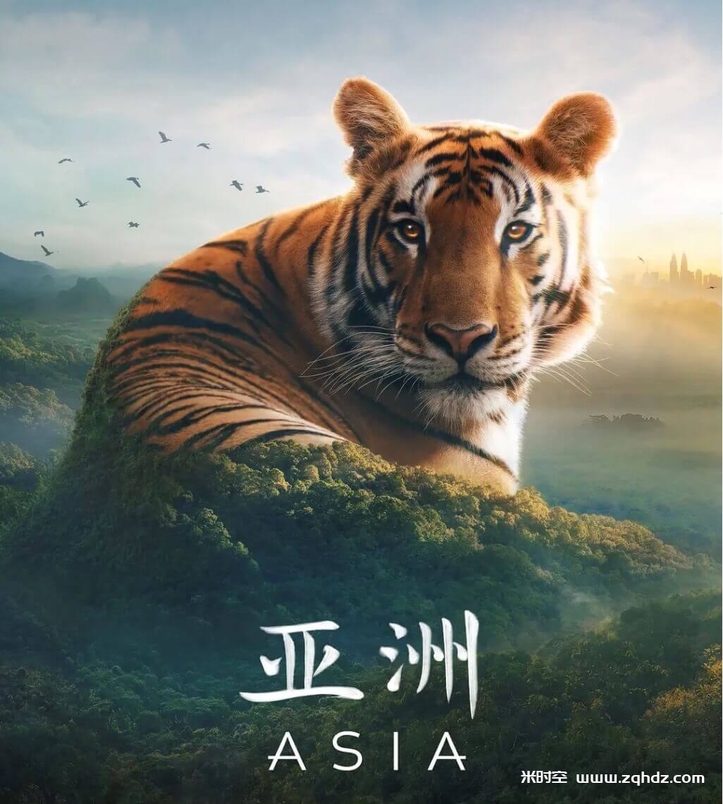 纪录片《亚洲/Asia》全7集4K超高清视频国英双语双字云网盘下载，国英双语配音，默认国语配音，使用播放器切换配音，国英双字幕，文件大小73.11 GB，已做压缩处理，云网盘下载后解压使用。